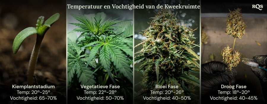 Temperatuur en luchtvochtigheid in een kweekruimte Vier afbeeldingen die de ideale kweekomstandigheden voor planten in elke levensfase tonen, van kieming tot oogst, voor een gezonde groei en maximale opbrengst.