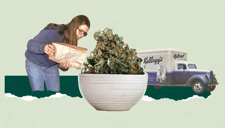Cannabis Breakfast Cereal Cannabis Breakfast Cereal