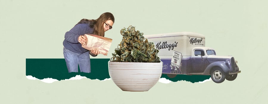 Cannabis Breakfast Cereal Cannabis Breakfast Cereal