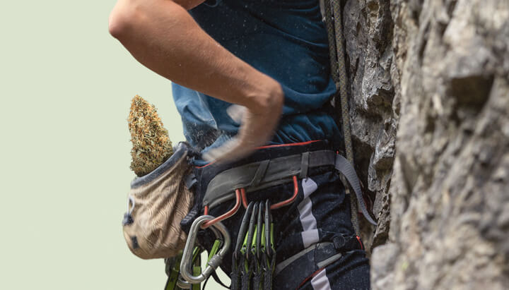 Cannabis climbing while high Cannabis climbing while high